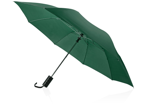 Зонт складной "Андрия", зеленый